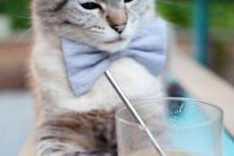 华体会体育-上海滩的孤注一掷，当血拼的上海队遇上非卖的奇才，伦纳德在末节证明何为唯一