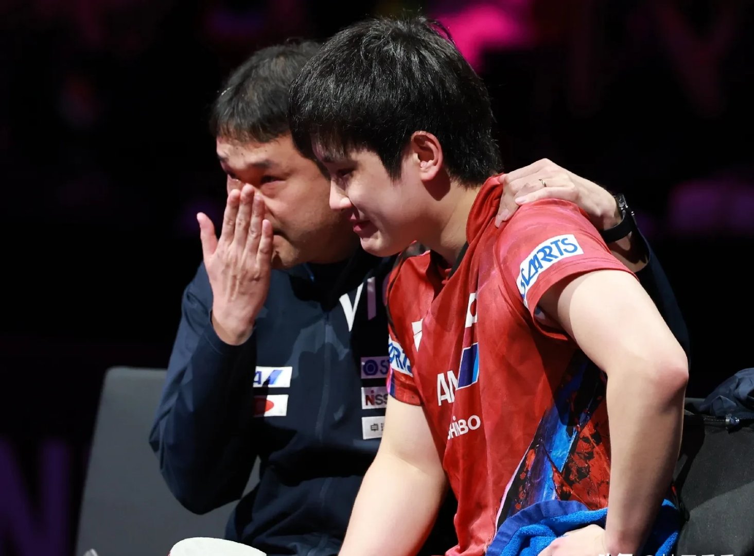 华体会网址-波兰队翻盘奥地利队，张本智和刷新纪录  第1张